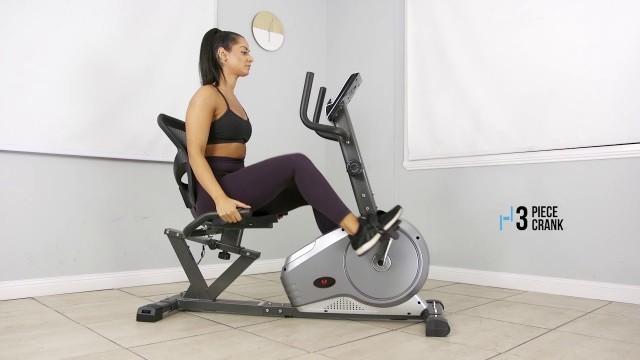 'Lifespan Fitness RC-81 Recumbent Bike'