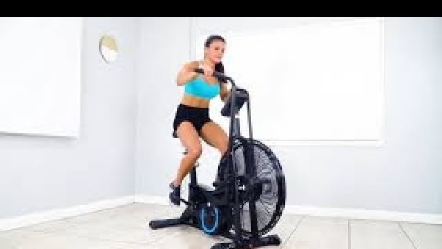 'Lifespan Fitness EXER-90H Exercise Bike'