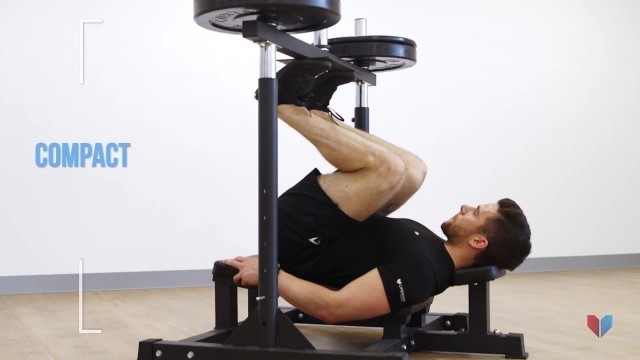 'Lifespan Fitness Vertical Leg Press'