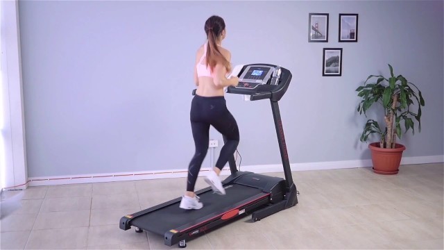 'Lifespan Fitness Ace Treadmill'