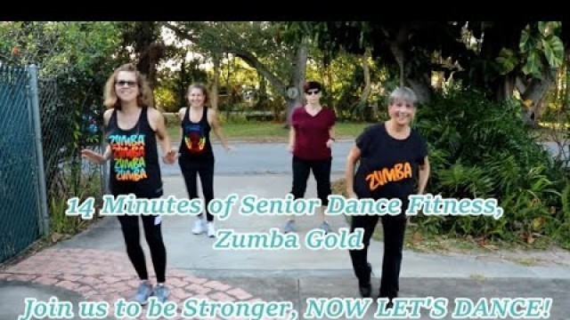 '14 Minutes of Senior Dance Fitness | Zumba Gold | Fun Dance Workout'