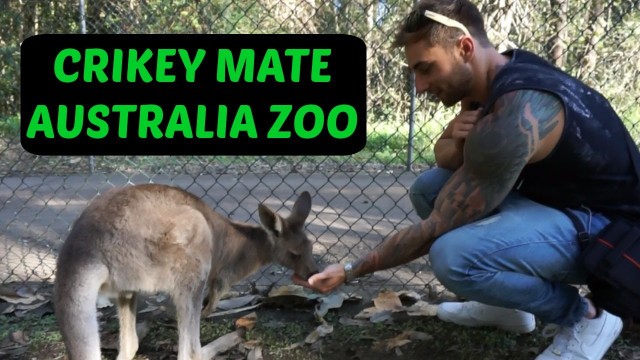 'Australia Zoo visit - Jackson Johnson Fitness'