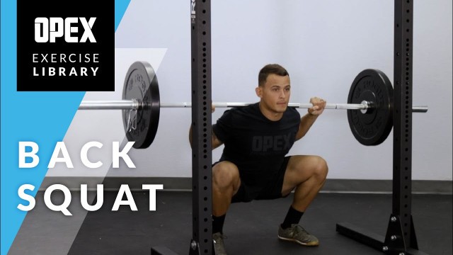 'Back Squat - OPEX Exercise Library'