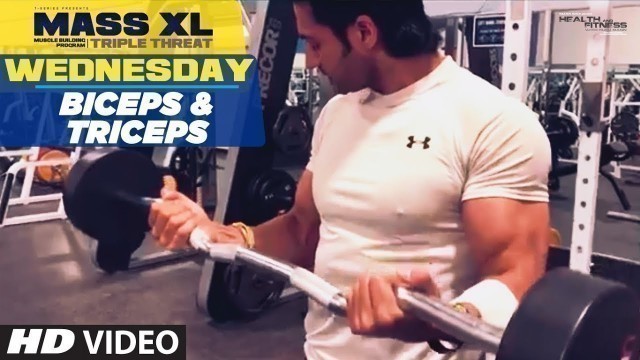 'Wednesday : Biceps & Triceps - MASS XL - Muscle Building Program'