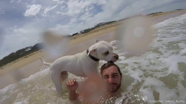 'American Bulldog GO PRO Love || Jackson Johnson Fitness'