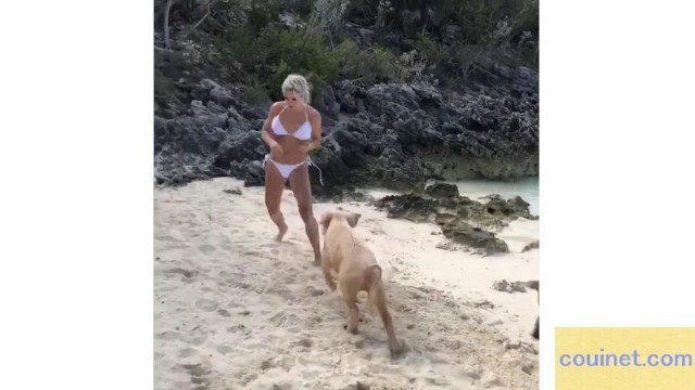 'Popular IG Fitness Model Michelle Lewin bitten on the butt by pig on Bahamas beach!'