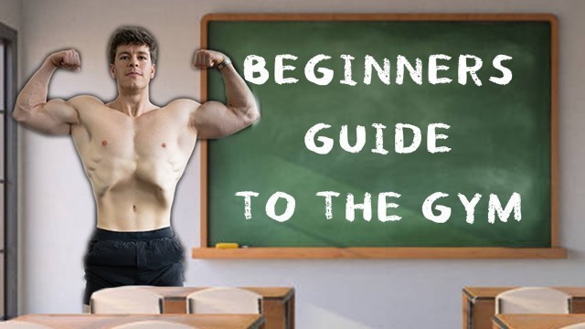 'Beginner\'s Workout Guide // What You Need To Know // Training, Nutrition, Supplements, Recovery'