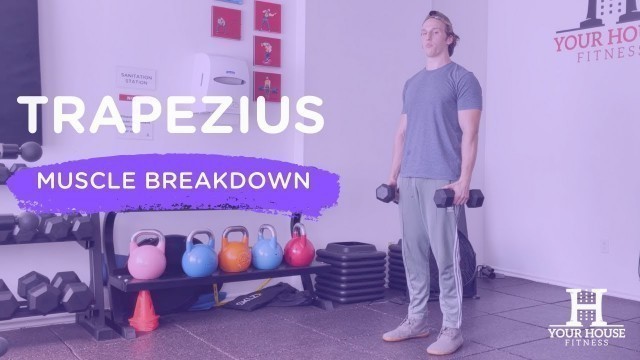 'Trapezius | Muscle Breakdown Series'