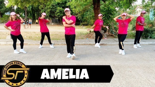 'AMELIA ( Dj KRZ Remix ) - Besa Kokedhima | Budots Remix | Dance Trends | Dance Fitness | Zumba'