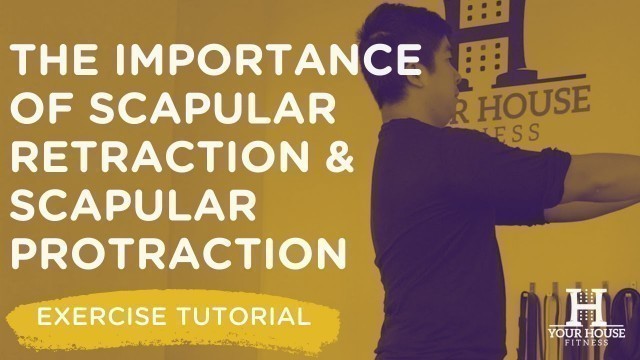 'The Importance of Scapular Retraction and Scapular Protraction | Exercise Tutorial Series'