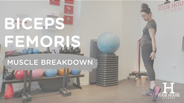 'Biceps Femoris | Muscle Breakdown'