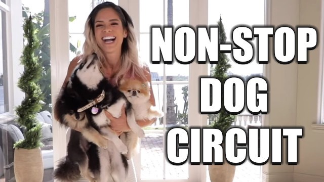 'MICHELLE LEWIN: Non-Stop Dog Circuit // Home Workout'