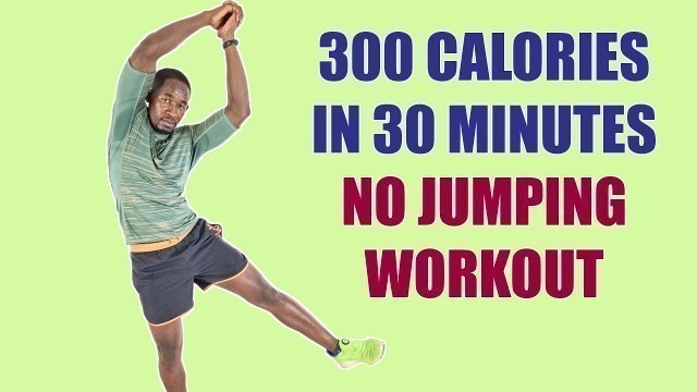 'NO JUMPING WORKOUT: Beginner Weight Loss Workout No Equipment