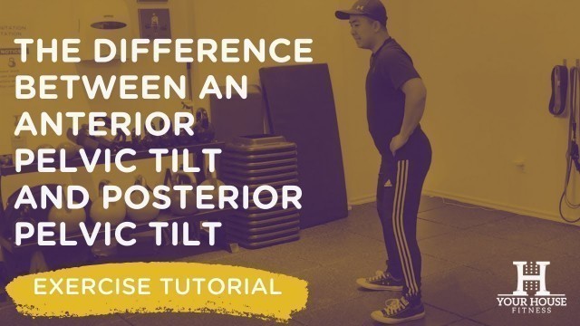 'The Difference Between an Anterior Pelvic Tilt and Posterior Pelvic Tilt | Exercise Tutorial Series'