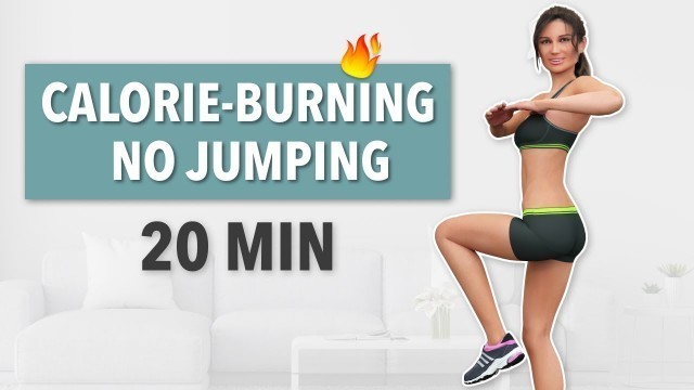 '20 MIN NO JUMPING CARDIO - BURN CALORIES WITHOUT HURTING YOUR JOINTS'