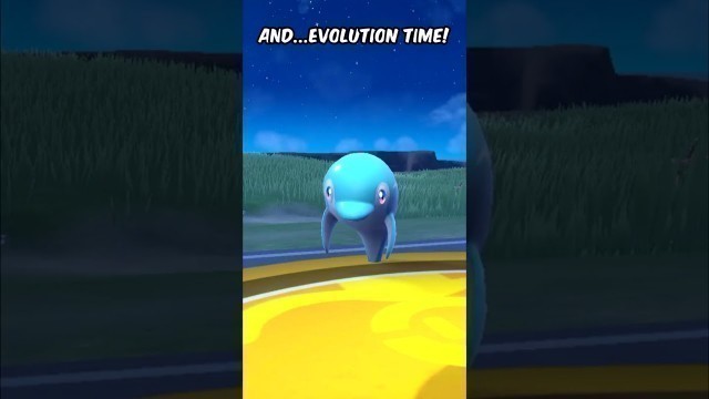 'How to Evolve Finizen & get HERO FORM in Pokemon Scarlet Violet'