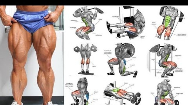 'கால் தொடை தசை வளர்ப்பது எப்படி ?|| Off season Leg workout|| Chennai Fitness|| Tamil'