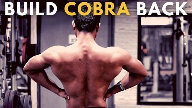 'COMPLETE BACK WORKOUT FOR MASS/COBRA BACK | EVOLVE FITNESS INDIA'