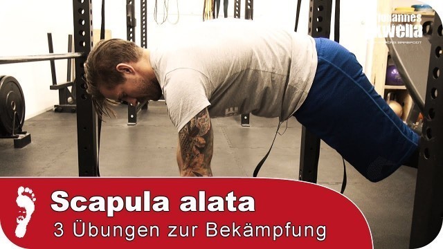 'Scapula Alata (Engelsflügel) | 3 Top-Übungen gegen Fehlhaltung und Schmerzen!'