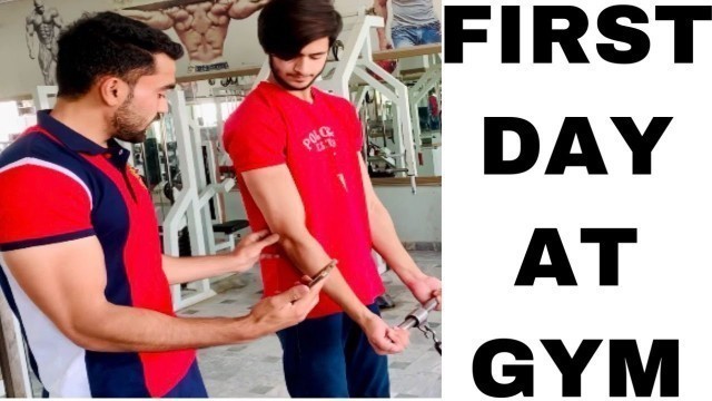 'First day at  Gym |  Beginners Full Workout | Fitness Friends'