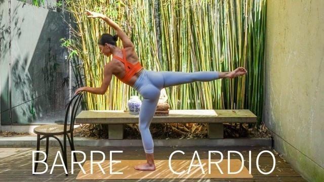 '30 MIN CARDIO BARRE & PILATES || At-Home Full Body Workout'