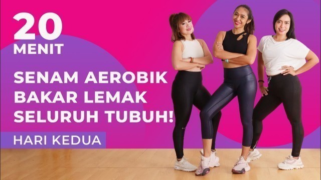 '7 Hari Menurunkan Berat Badan dengan Senam Aerobik! Bakar Lemak Seluruh Tubuh | Hari Kedua'