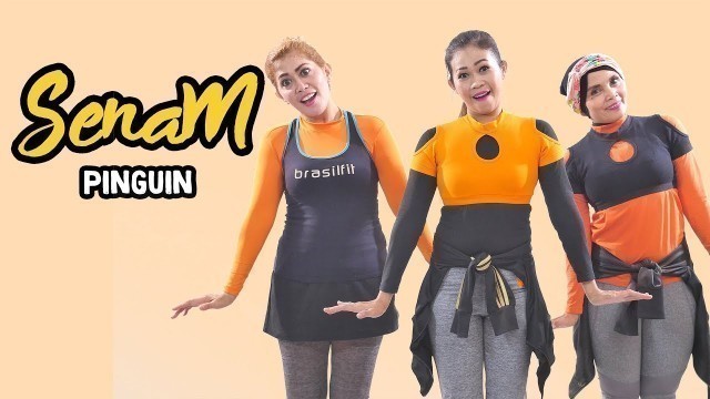 'Senam Kreasi Gerakan Pinguin Dance Fun Banget ! | Senam Aerobik'