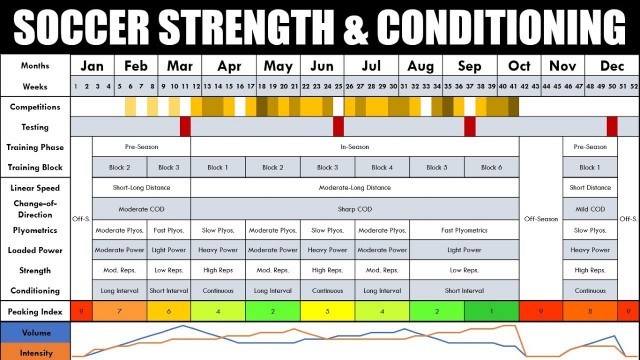 'Complete Strength & Conditioning for Soccer | Season-Long Physical Preparation'