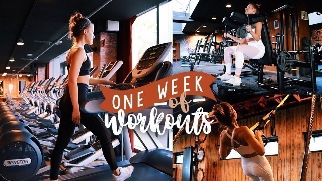 'FITNESS DIARY / ONE WEEK OF WORKOUTS // JustSayEleanor (Kraftsport, Fitness, Muskelaufbau)'