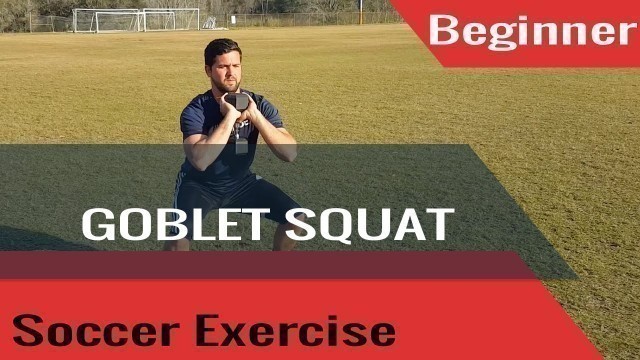 'Beginner Soccer Exercise - Goblet Squat - Renegade Soccer Training'