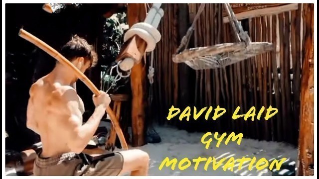 'David laid epic gym workout motivation | fearless gym motivation | 24 hour fitness near me #shorts'