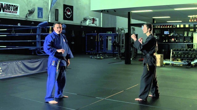 'Bujutsu Weekly Self Defence Tip - defence against front kick 3'