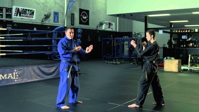 'Bujutsu Weekly Self Defence Tip - Defence against front kick 2'