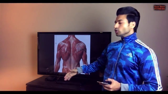 'Top 3 Exercises for Back   Explained with Muscle by Guru Maan Fitness'