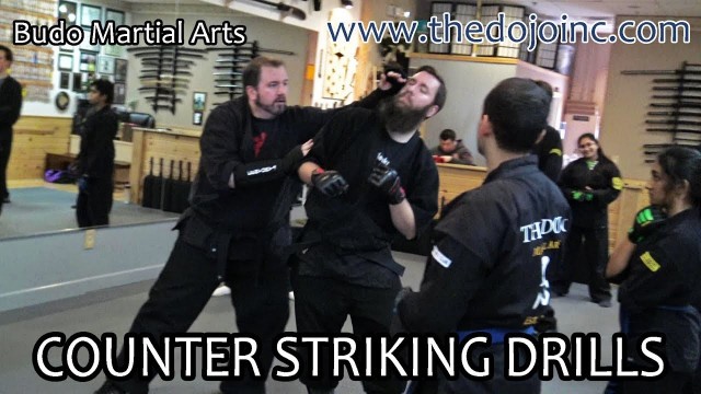 'Bujutsu Blocks and Striking Drills - The Dojo Martial Arts'