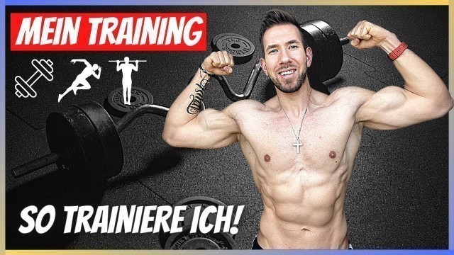 'Mein kompletter Trainingsplan -  So trainiere ICH! 